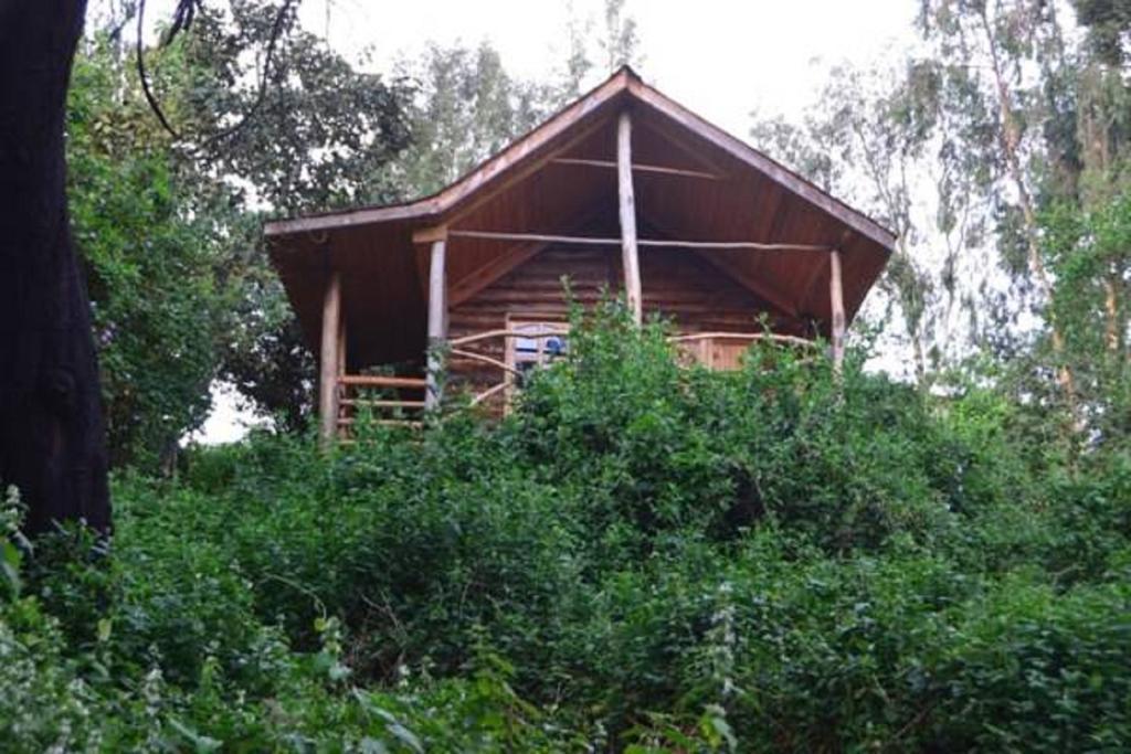 Lake Bunyonyi Eco Resort Chabahinga Zimmer foto